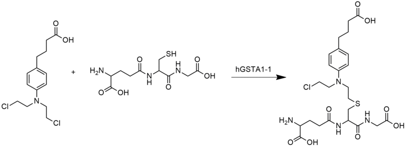 Chlorambucil glutathione reaction.png