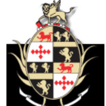 Dulaney HS logo.jpg
