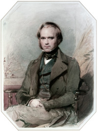 Three quarter length portrait of Darwin aged about 30, with straight brown hair receding from his high forehead and long side-whiskers, smiling quietly, in wide lapelled jacket, waistcoat and high collar with cravat.