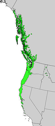 Alnus rubra range map.jpg