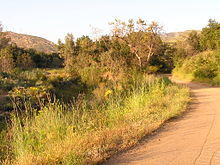 Black Star Canyon Road.JPG