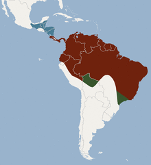 Distribution of Trachops cirrhosus.png