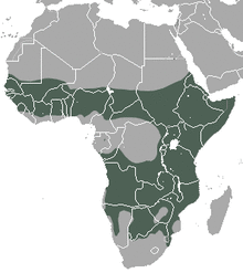 Spotted Hyaena area.png