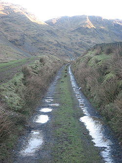 CroesorTramwayTrackbbed.jpg