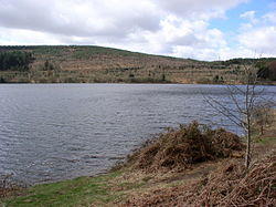 Llwyn-on Reservoir - geograph.org.uk - 148765.jpg