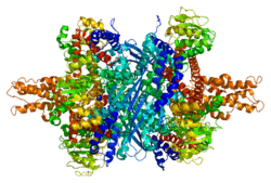 Protein GLUD1 PDB 1hwx.png