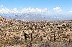 Los Cardones National Park 04.jpg