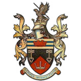 Wednesfield FC badge