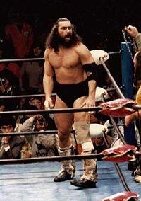 Bruiser Brody.jpg