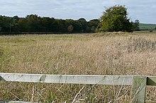 Seven Barrows - geograph.org.uk - 1548711.jpg