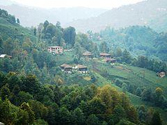 Çayeli-1.jpg