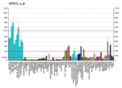 PBB GE ARF6 203312 x at fs.png