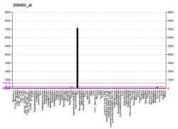 PBB GE KRT1 205900 at fs.png