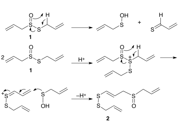 Mechanism for formation of ajoene from allicin.tiff