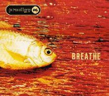 Breathe Prodigy.jpg