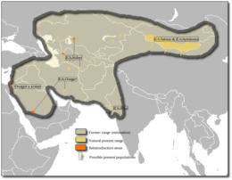 Equus hemionus map.png