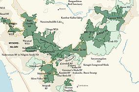 Nilgiris Biosphere Reserve.jpg