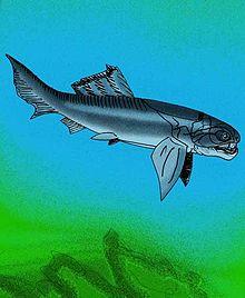 Gorgonichthys clarki reconstruction.jpg