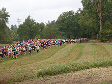 Lidingöloppet 27 september 2008 startgrupp 3mil.jpg