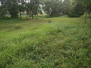Paya Indah Wetlands in Dengkil, Malaysia 06.jpg