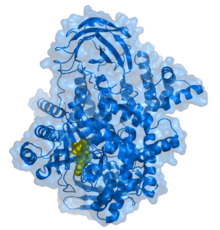 PI3kinase.png