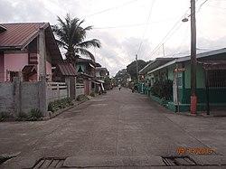 Burgos Street in Brgy.R.magsaysay, Unisan - panoramio.jpg