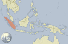 Hystrix sumatrae distribution map.png