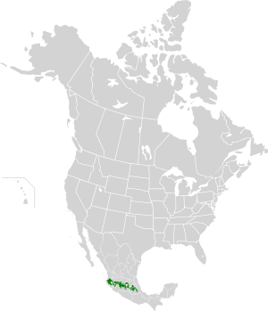 Trans-Mexican Vocanic Belt Pine-Oak Forests map.svg