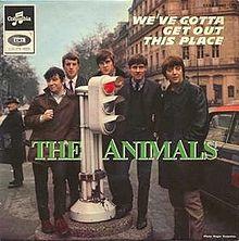 AnimalsWeGotta.jpg