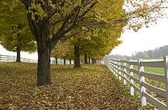 Round Hill Park, Elizabeth, Pennsylvania.jpg