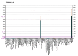 PBB GE LIPC 206606 at fs.png