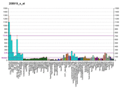 PBB GE NADK 208919 s at fs.png
