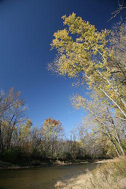 Vermilion River Kickapoo.jpg