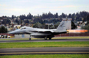 142d Fighter Wing - F-15 Eagle.jpg