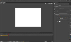 A screenshot of Adobe Animate running on Windows