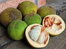 Sandor koetja 070609 267 ltn.jpg