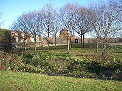 Roundabout and River, Chingford Hatch - geograph.org.uk - 92353.jpg