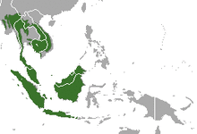 Sunda Pangolin area.png
