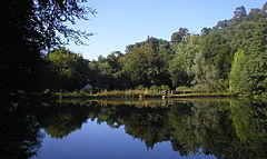 Millpond at Friday Street - geograph.org.uk - 97870.jpg