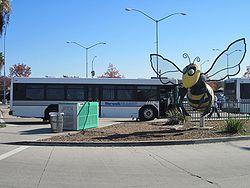 Norwalk Transit Bus and Bee.jpg