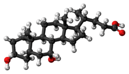 Ball-and-stick model of the chenodeoxycholic acid molecule