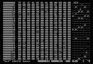 Screenshot of the bvi hex editor