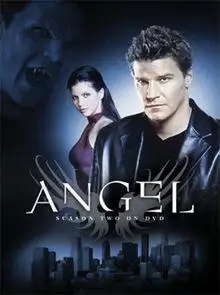 Angel DVD Season (2).jpg