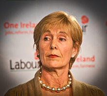 Liz McManus TD, Labour Party - Development of broadband infrastructure key to jobs and recovery.jpg