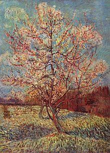 A watercolour of two pink peach trees in a blossoming orchard of trees near a wooden fence under a bright blue sky.