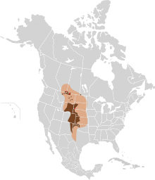 Vulpes velox map.svg