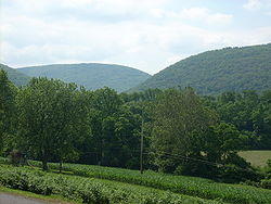A Nippenose Township vista