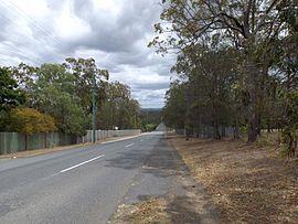 Grassdale Road Gumdale.jpg