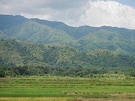 Umingan-Lupaojf4785 08.JPG