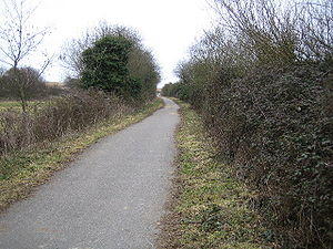 National Cycle Network Route 23 - geograph.org.uk - 121044.jpg
